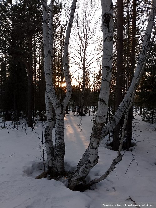 В парке с Луминори — Куклы Penny's Box (Пенни Бокс): кентавры Antu