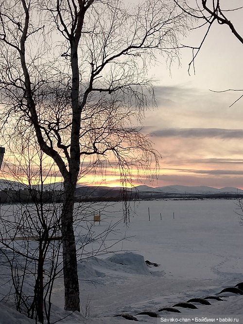 В парке с Луминори — Куклы Penny's Box (Пенни Бокс): кентавры Antu