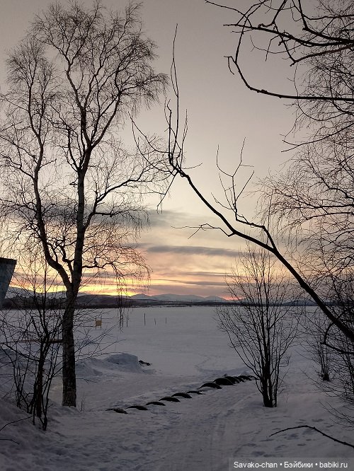 В парке с Луминори — Куклы Penny's Box (Пенни Бокс): кентавры Antu