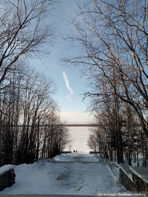 В парке с Луминори — Куклы Penny's Box (Пенни Бокс): кентавры Antu (фото 2)