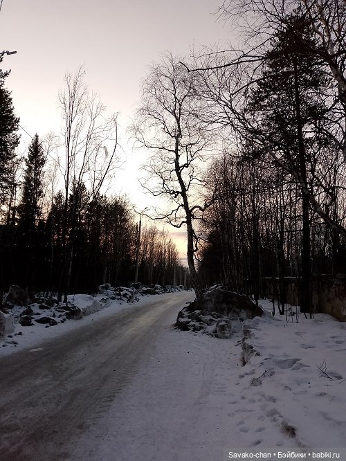 В парке с Луминори — Куклы Penny's Box (Пенни Бокс): кентавры Antu