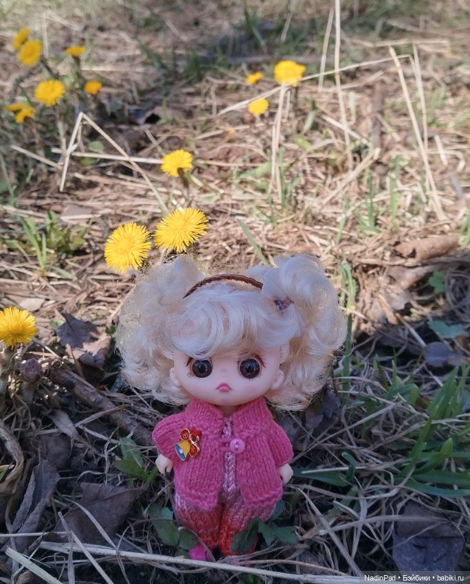 Прогулки с Деловулей. Завершение (фото 7)