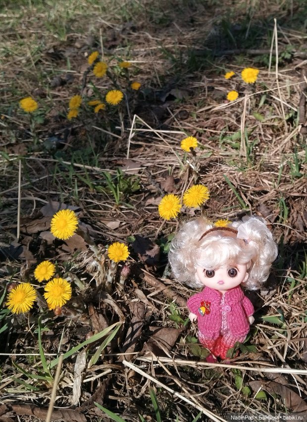 Прогулки с Деловулей. Завершение
