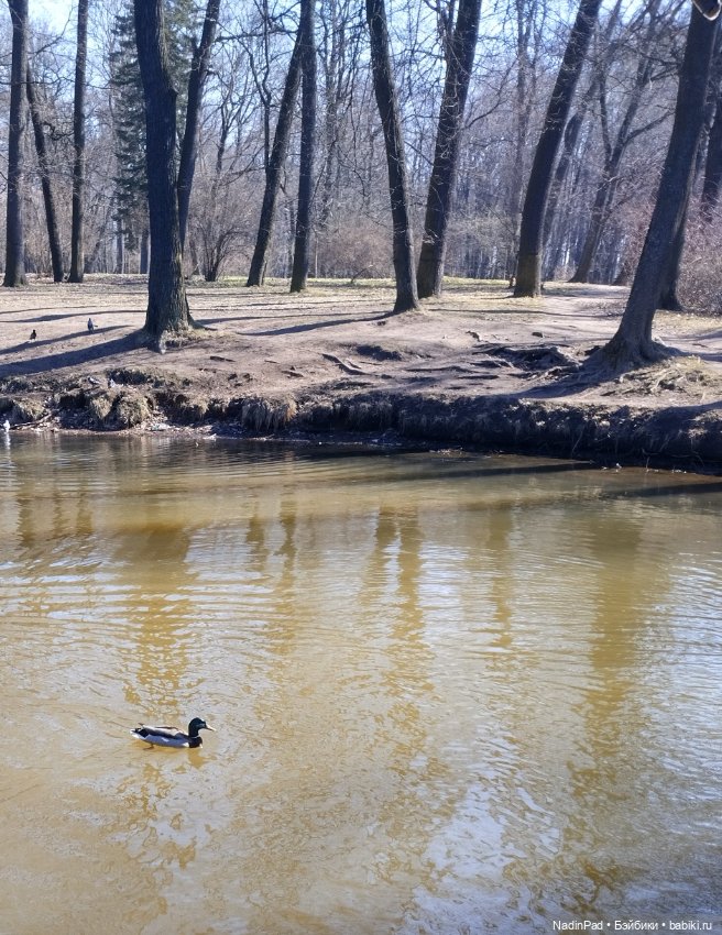 Прогулки с Деловулей. Завершение (фото 2)