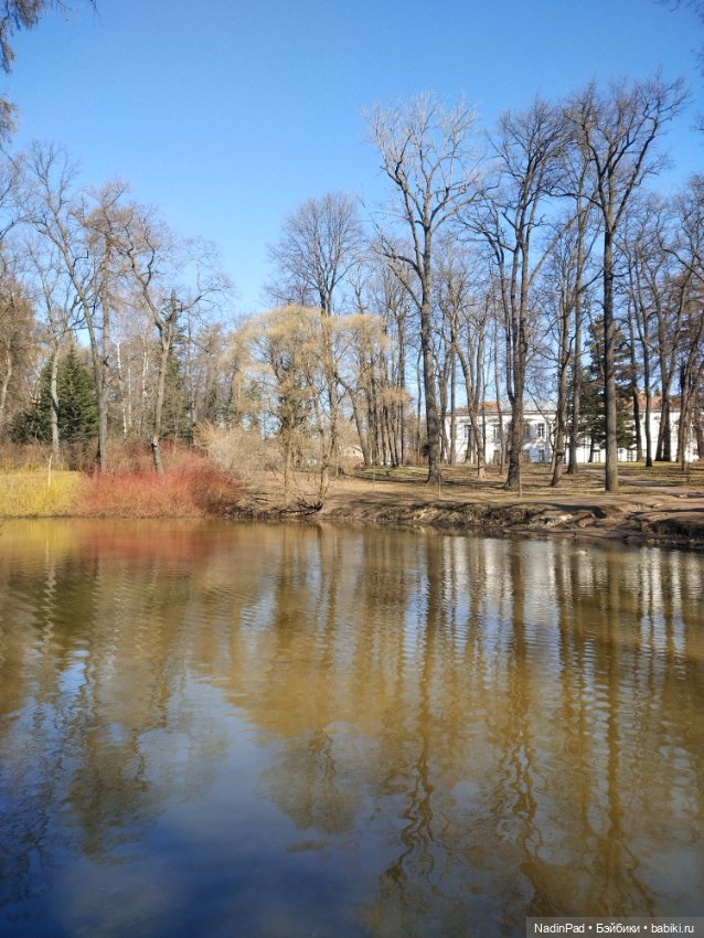 Прогулки с Деловулей. Завершение (фото 6)