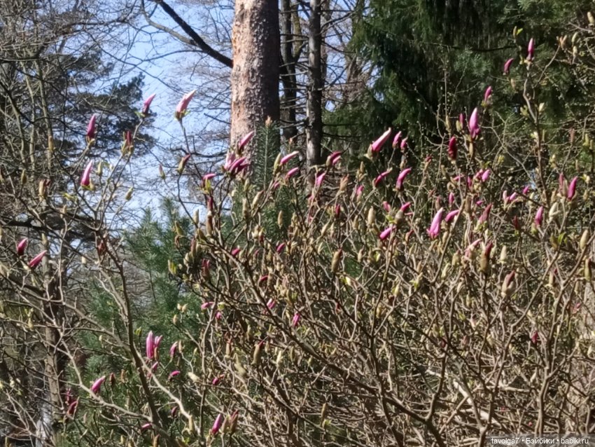 Балтика апрель сумбурно — Туризм и путешествия: фотоотчеты из поездок