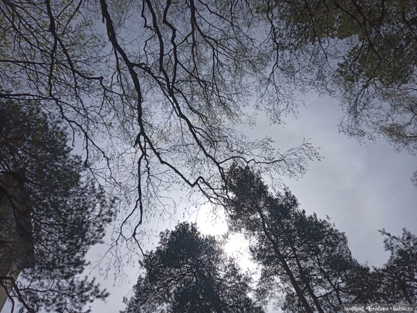 Балтика апрель сумбурно — Туризм и путешествия: фотоотчеты из поездок