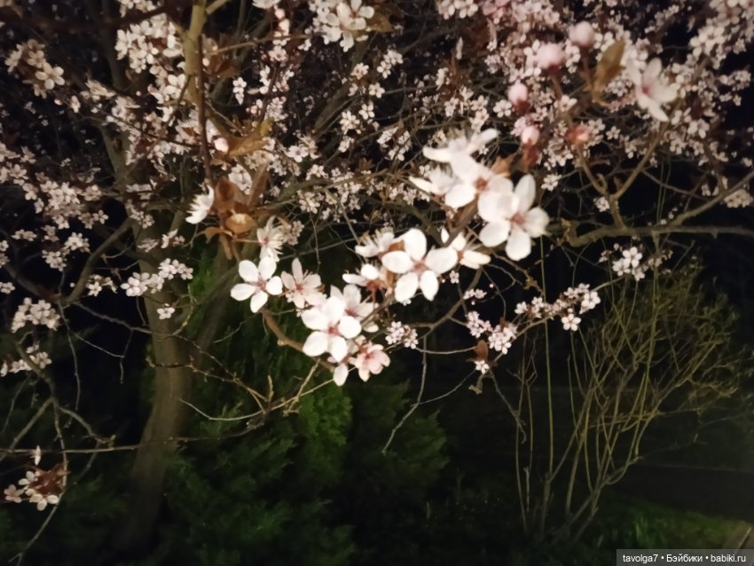 Балтика апрель сумбурно — Туризм и путешествия: фотоотчеты из поездок