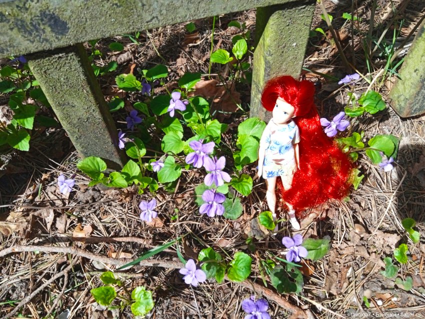 Балтика апрель сумбурно — Туризм и путешествия: фотоотчеты из поездок