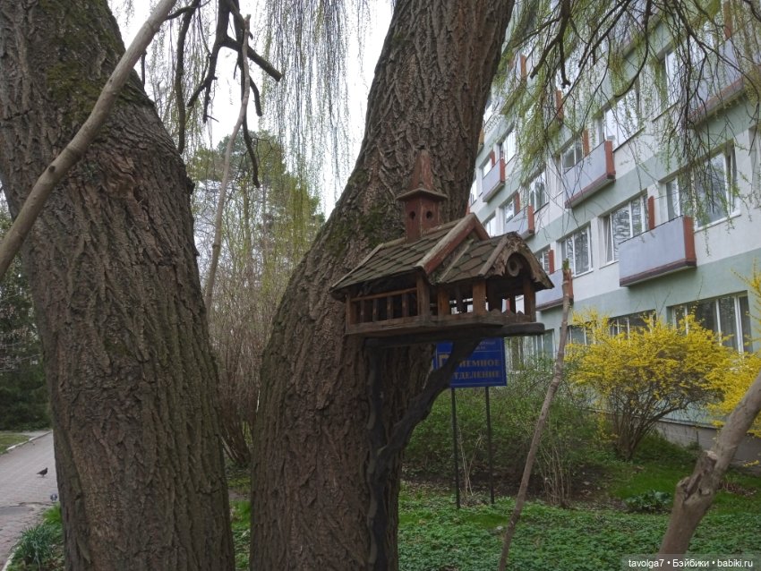 Балтика апрель сумбурно — Туризм и путешествия: фотоотчеты из поездок (фото 2)