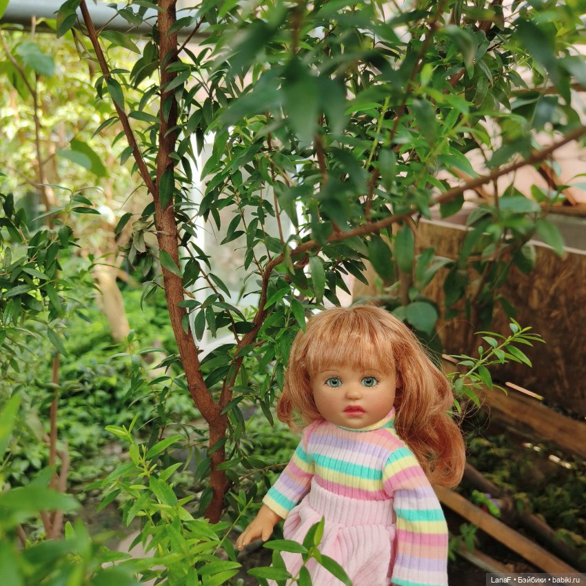 Страна Лимония!!🍋 🍋 🍋 (Габриэль Мюллер Gabriel Muller)