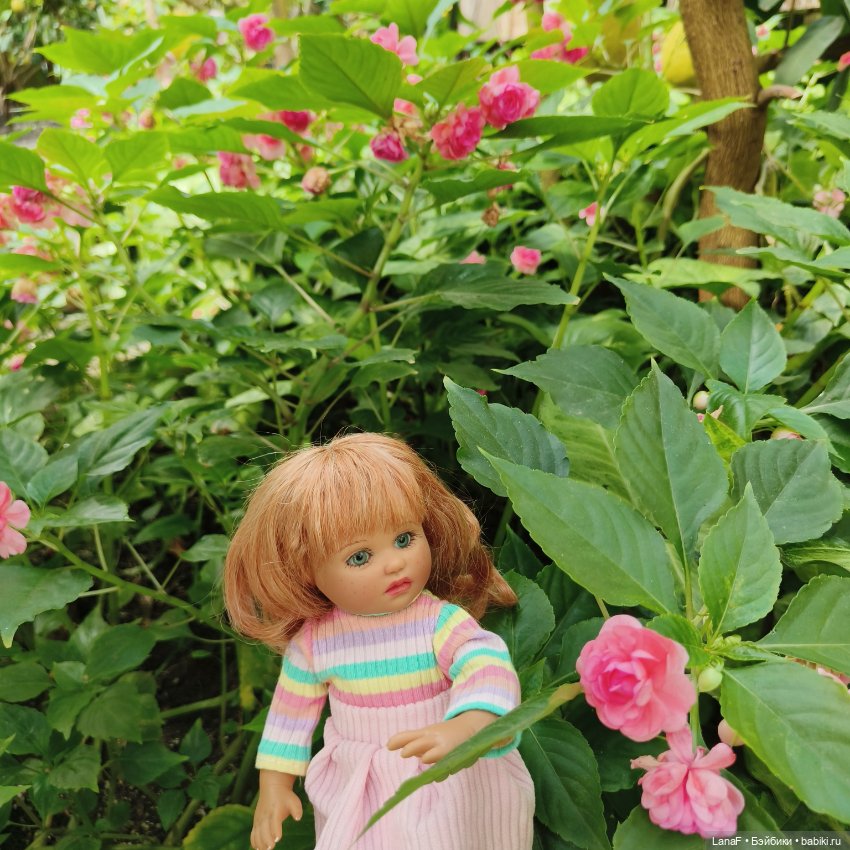 Страна Лимония!!🍋 🍋 🍋 (Габриэль Мюллер Gabriel Muller)