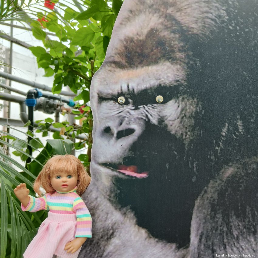 Страна Лимония!!🍋 🍋 🍋 (Габриэль Мюллер Gabriel Muller)