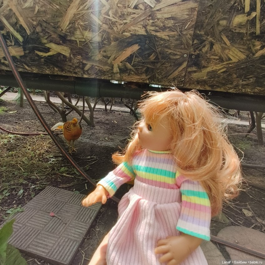 Страна Лимония!!🍋 🍋 🍋 (Габриэль Мюллер Gabriel Muller)