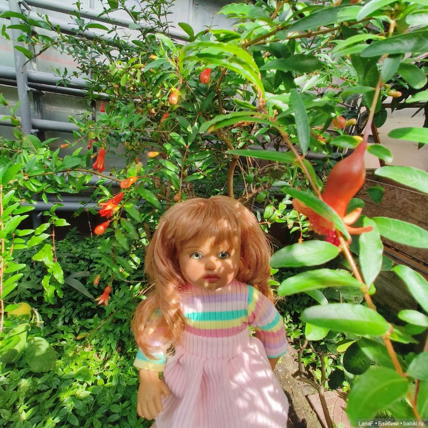 Страна Лимония!!🍋 🍋 🍋 (Габриэль Мюллер Gabriel Muller)