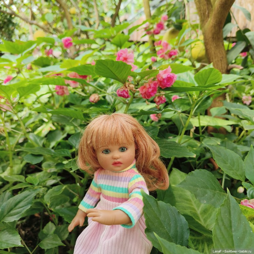 Страна Лимония!!🍋 🍋 🍋 (Габриэль Мюллер Gabriel Muller)