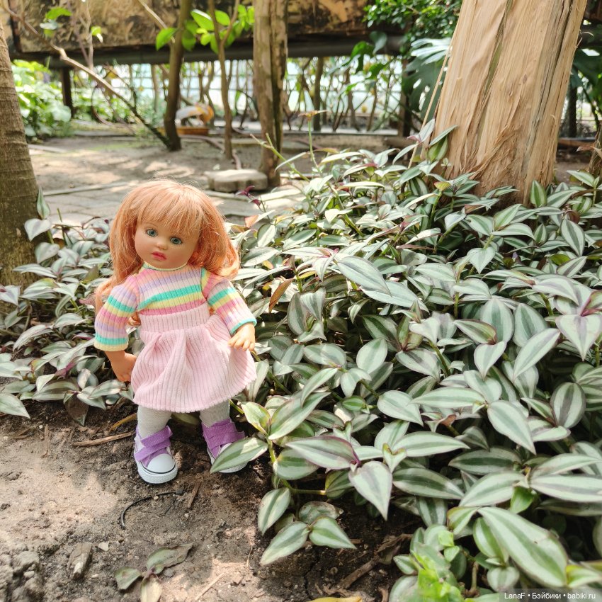 Страна Лимония!!🍋 🍋 🍋 (Габриэль Мюллер Gabriel Muller)