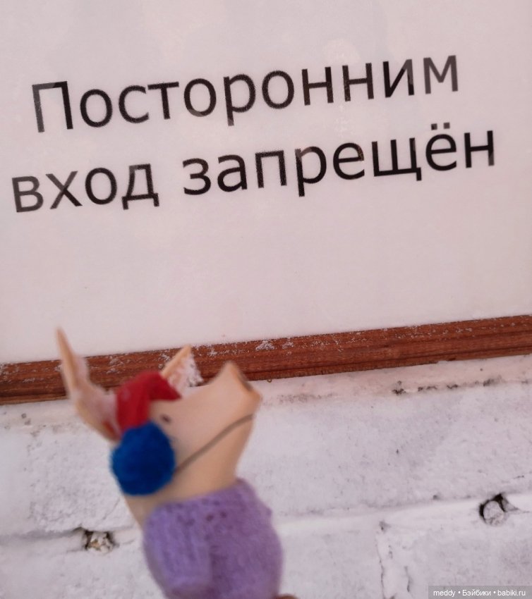 Мой карманный компаньен. Свинка Оливия (фото 5)