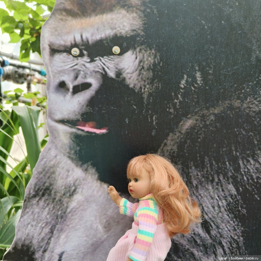 Страна Лимония!!🍋 🍋 🍋 (Габриэль Мюллер Gabriel Muller)