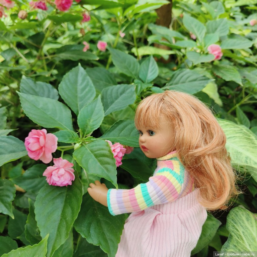 Страна Лимония!!🍋 🍋 🍋 (Габриэль Мюллер Gabriel Muller)