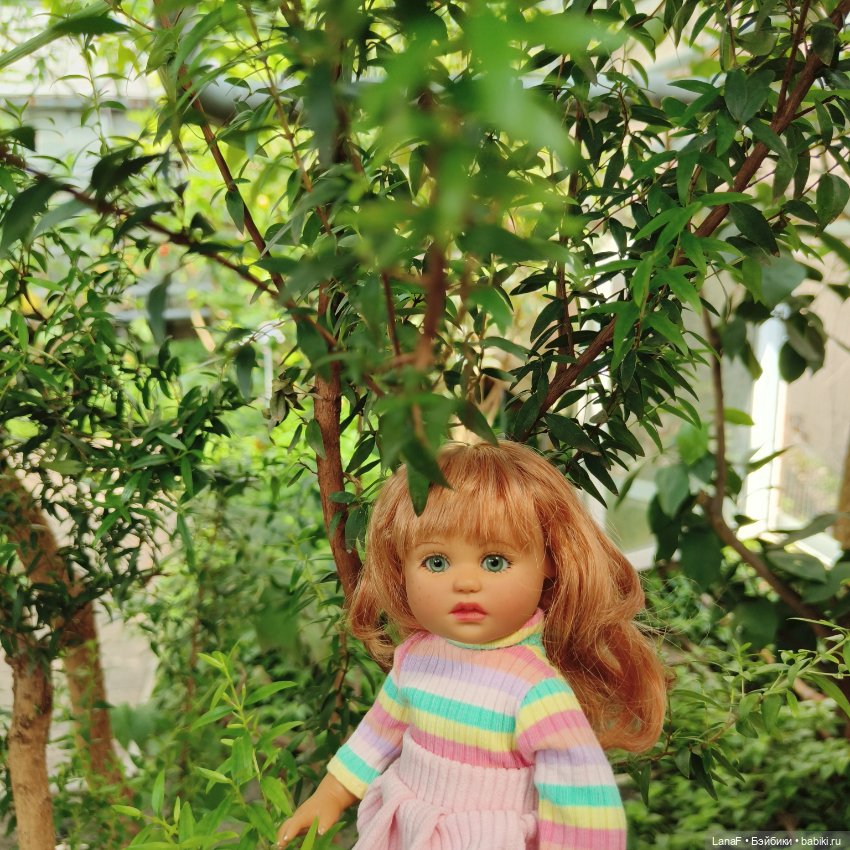 Страна Лимония!!🍋 🍋 🍋 (Габриэль Мюллер Gabriel Muller)