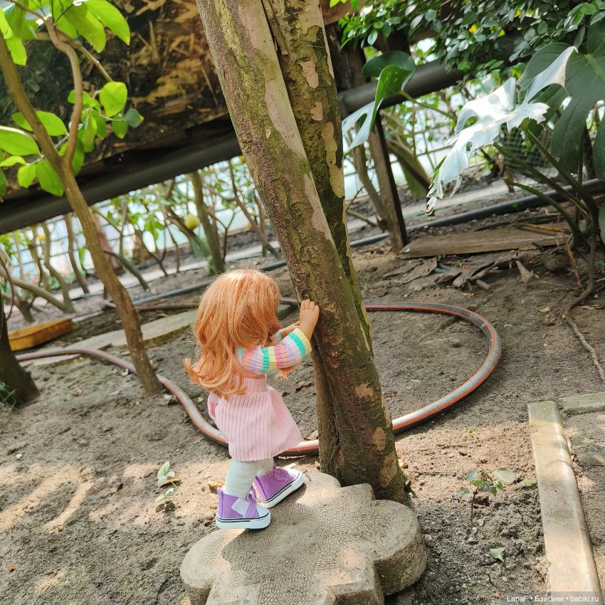 Страна Лимония!!🍋 🍋 🍋 (Габриэль Мюллер Gabriel Muller)