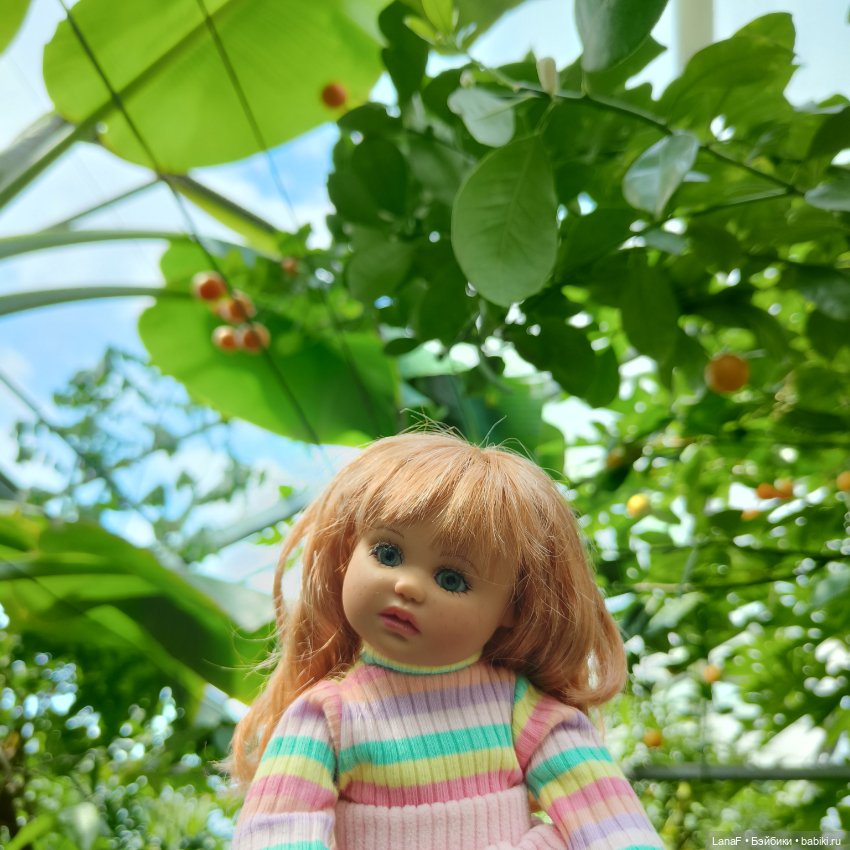 Страна Лимония!!🍋 🍋 🍋 (Габриэль Мюллер Gabriel Muller)