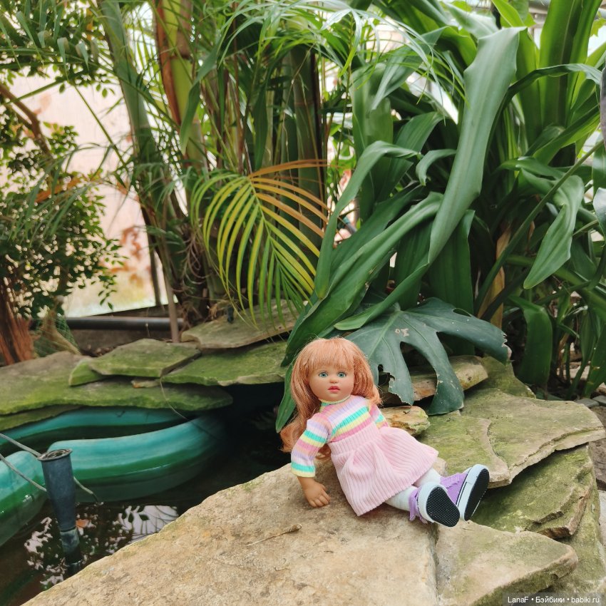 Страна Лимония!!🍋 🍋 🍋 (Габриэль Мюллер Gabriel Muller)