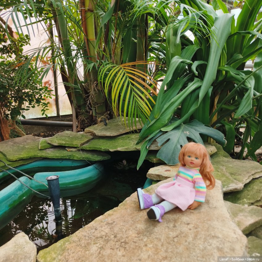 Страна Лимония!!🍋 🍋 🍋 (Габриэль Мюллер Gabriel Muller)