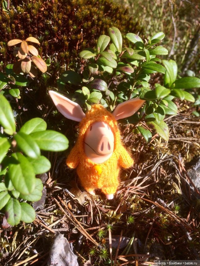 Мой карманный компаньен. Свинка Оливия (фото 8)