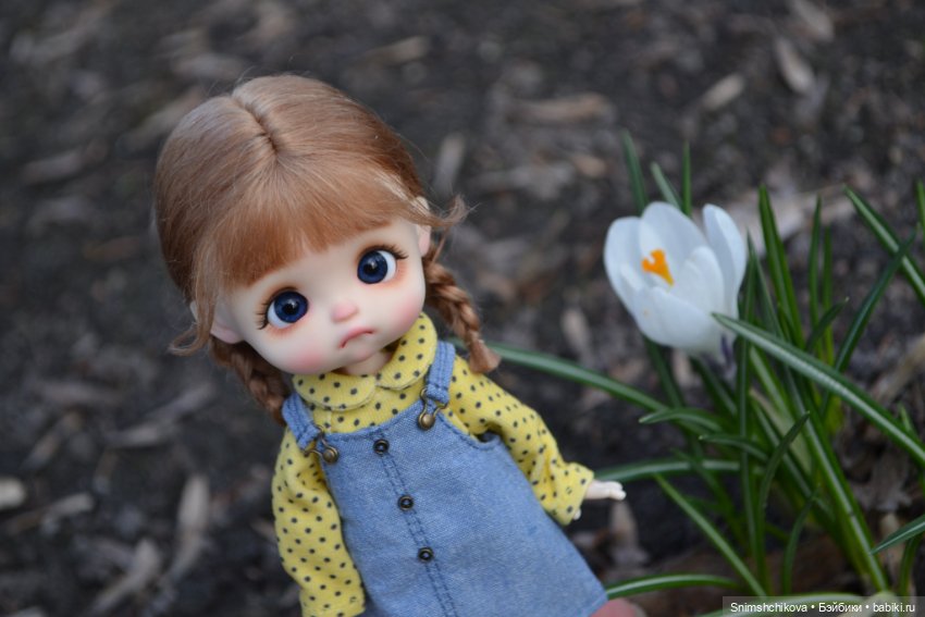 Ускользающий горизонт — Разные шарнирные куклы (не БЖД): редкие (фото 7)