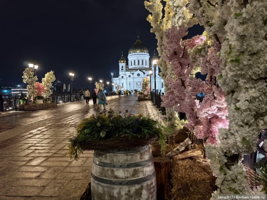 Подготовка к празднику — Другие хобби и увлечения: сад