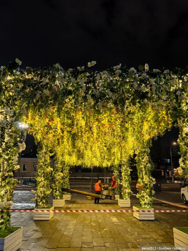 Подготовка к празднику — Другие хобби и увлечения: сад