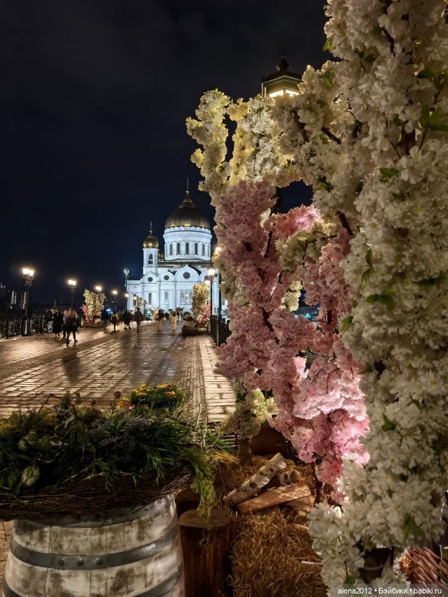 Подготовка к празднику — Другие хобби и увлечения: сад