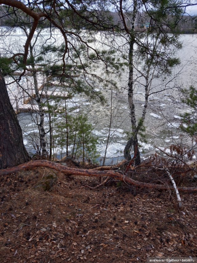 Савва Шанежкин на прогулке (фото 9)