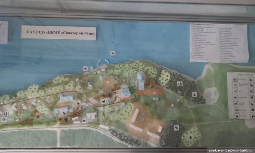 Савва Шанежкин на прогулке (фото 10)