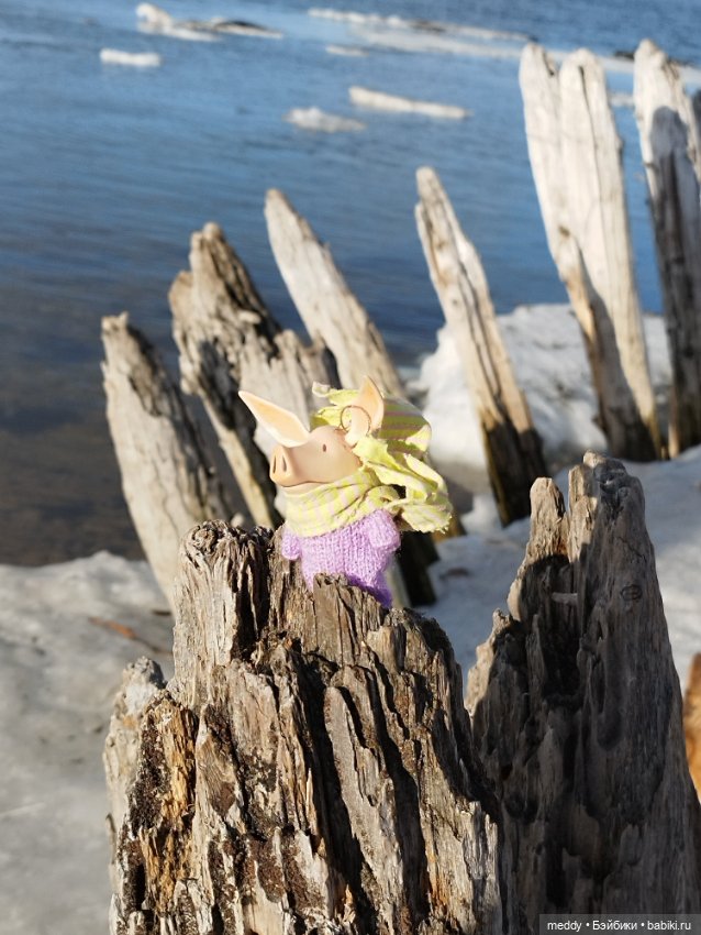 Мой карманный компаньен. Свинка Оливия