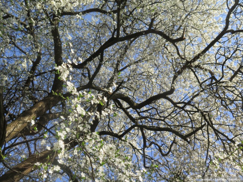 "Апрель - как апрель..." — Туризм и путешествия: фотоотчеты из поездок (фото 2)