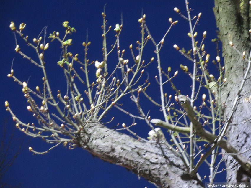 "Апрель - как апрель..." — Туризм и путешествия: фотоотчеты из поездок