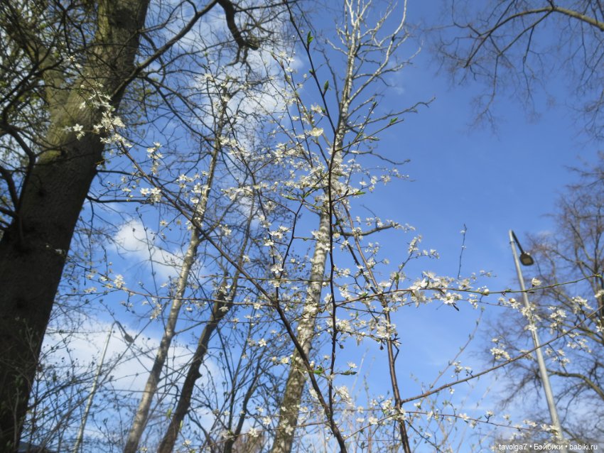 "Апрель - как апрель..." — Туризм и путешествия: фотоотчеты из поездок (фото 7)