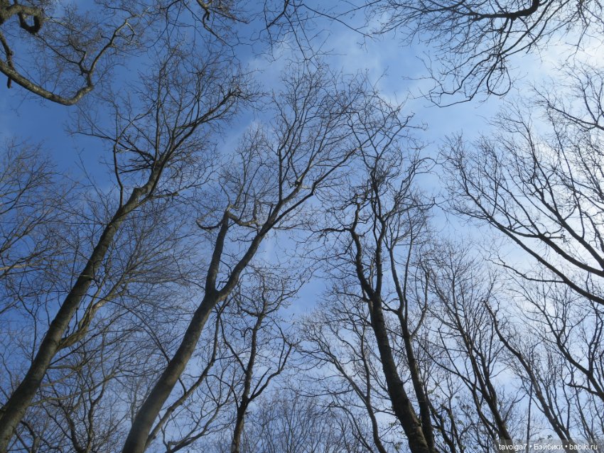 "Апрель - как апрель..." — Туризм и путешествия: фотоотчеты из поездок (фото 6)