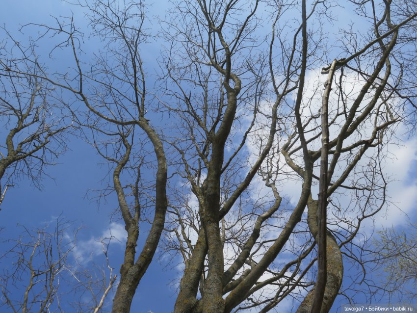 "Апрель - как апрель..." — Туризм и путешествия: фотоотчеты из поездок