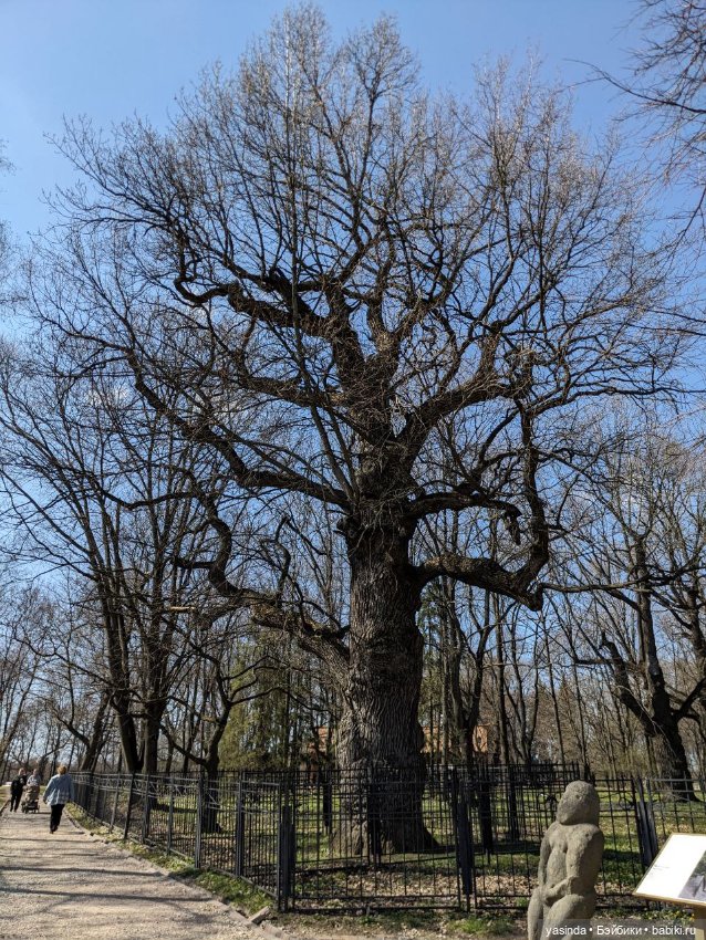 Прогулка в Коломенском — Куклы Strawberry Planet: Redberry