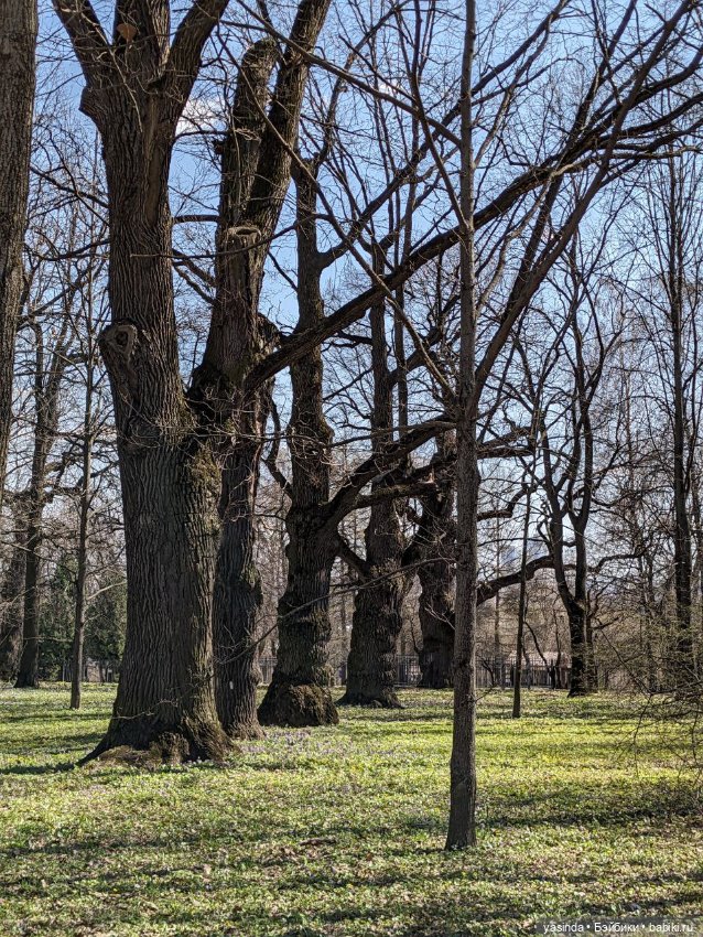 Прогулка в Коломенском — Куклы Strawberry Planet: Redberry