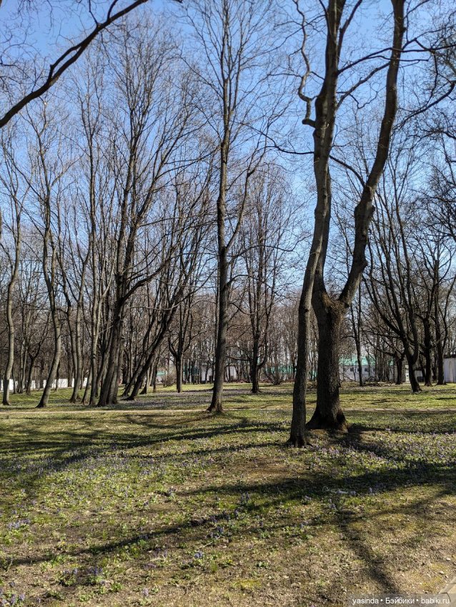 Прогулка в Коломенском — Куклы Strawberry Planet: Redberry