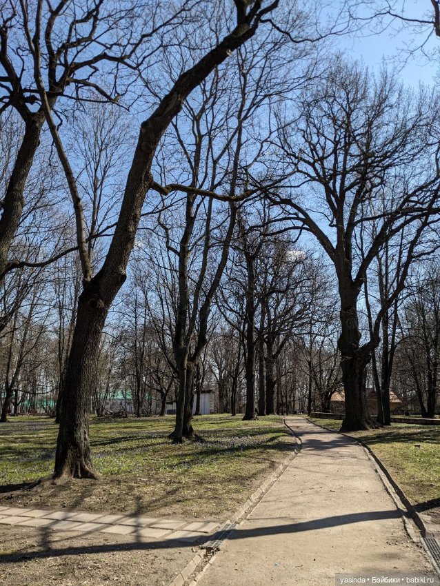 Прогулка в Коломенском — Куклы Strawberry Planet: Redberry