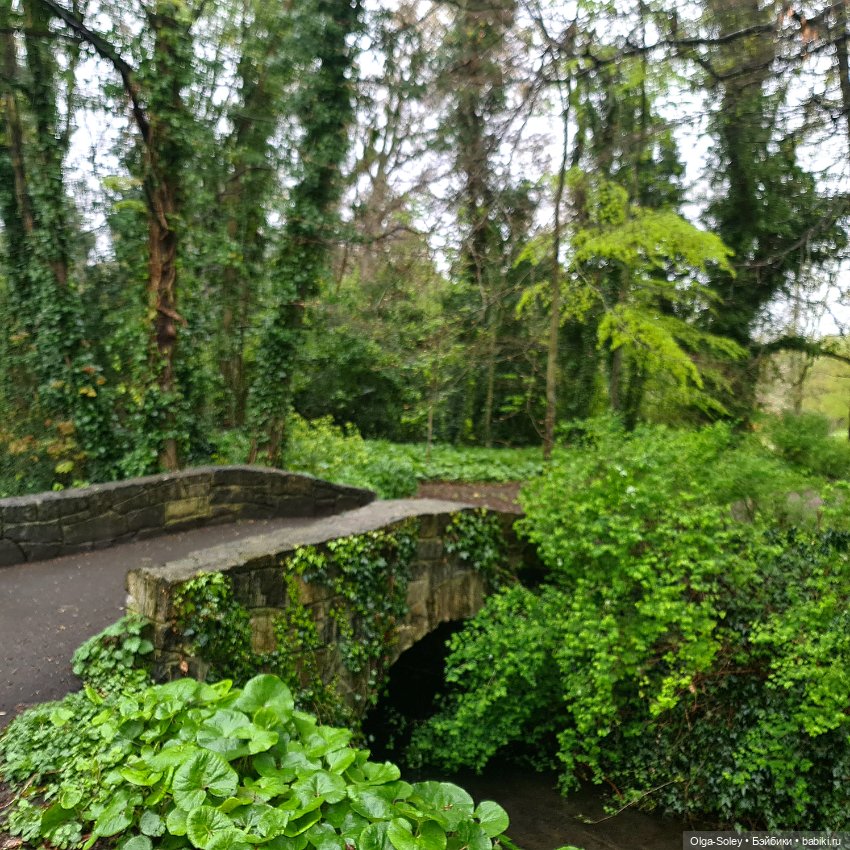 Я буду долго гнать велосипед... или не очень (фото 6)