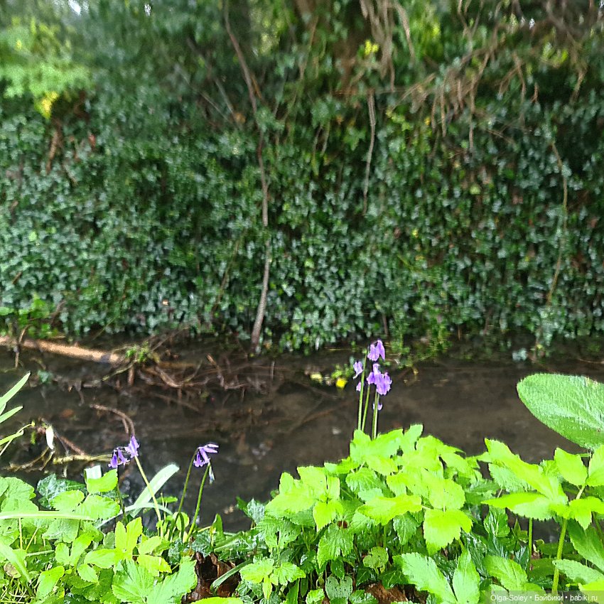 Я буду долго гнать велосипед... или не очень (фото 8)