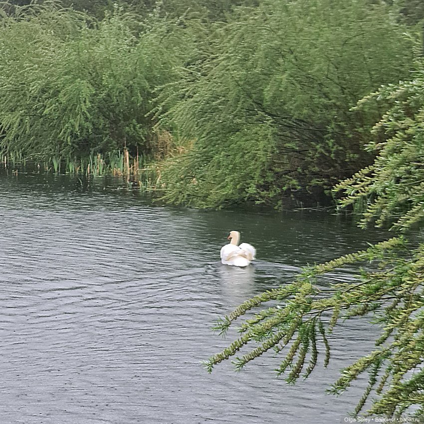 Я буду долго гнать велосипед... или не очень (фото 4)