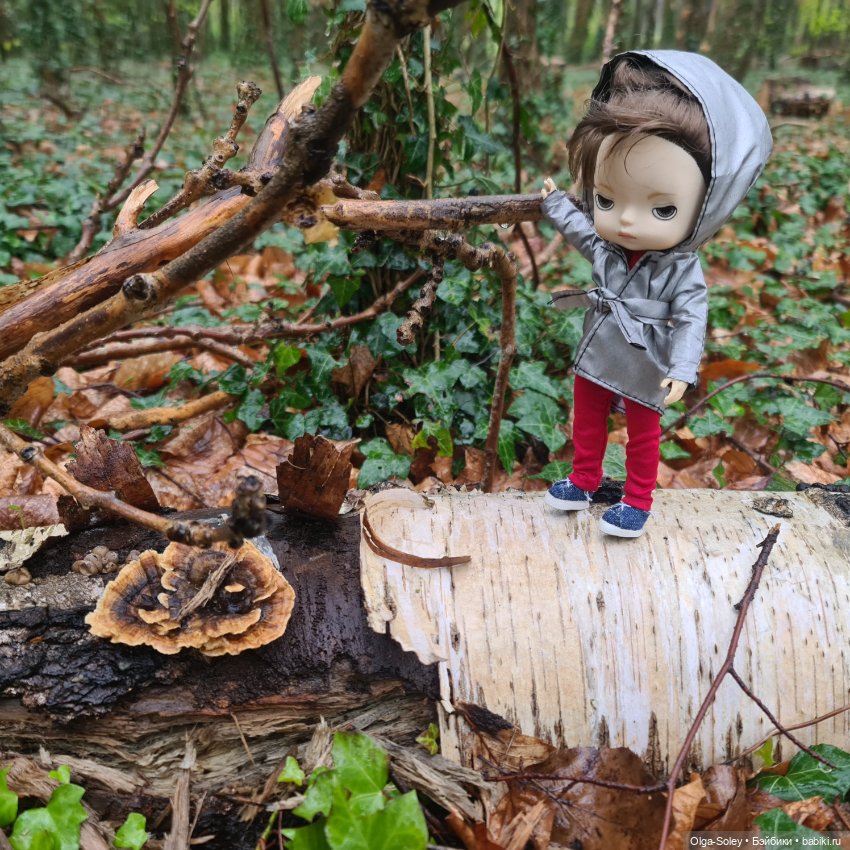 Я буду долго гнать велосипед... или не очень